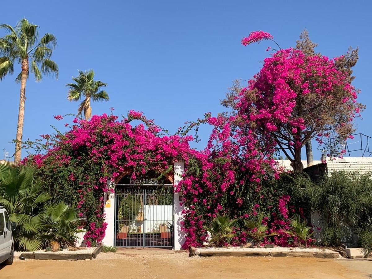 Vila Casa Tranquila San Juan de los Terreros Exteriér fotografie