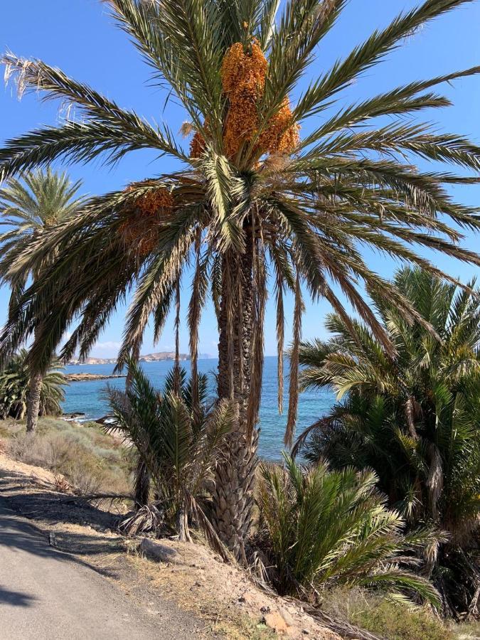Vila Casa Tranquila San Juan de los Terreros Exteriér fotografie