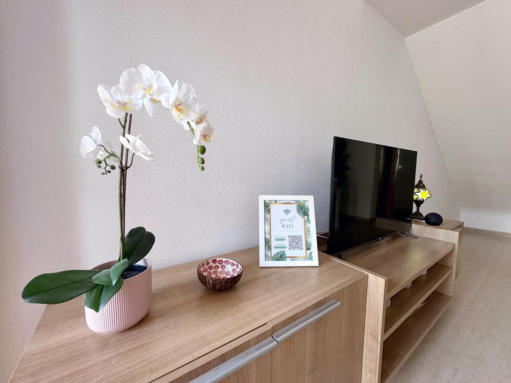 Vila Casa Tranquila San Juan de los Terreros Exteriér fotografie